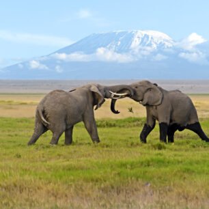 Amboseli National Park