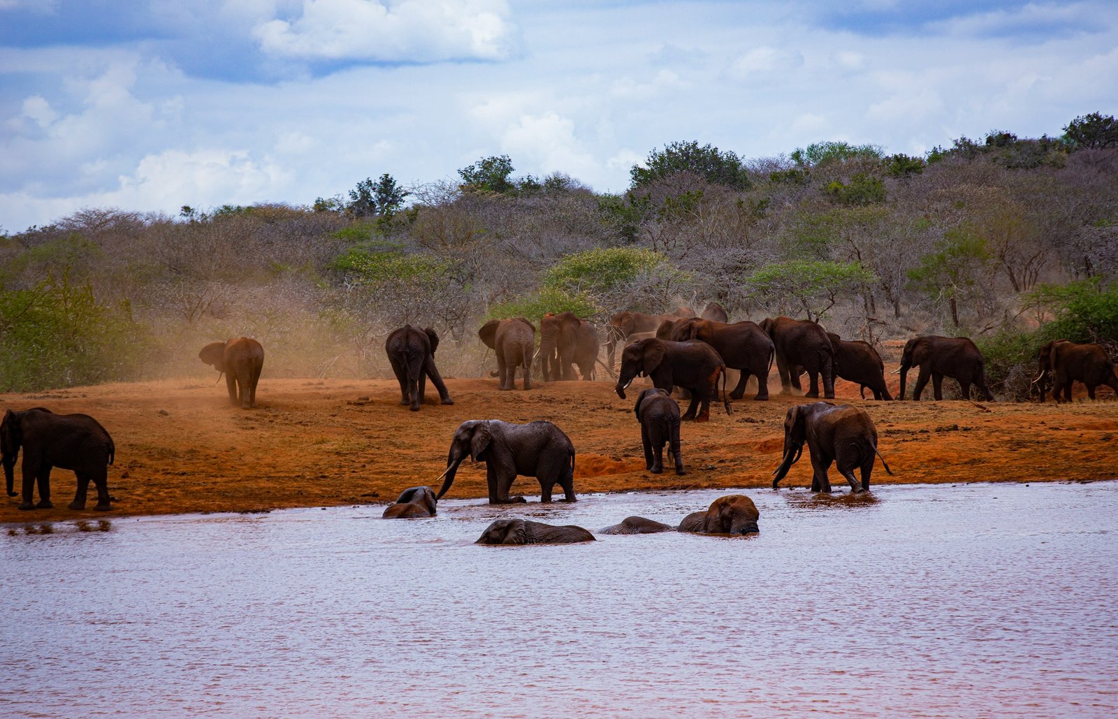 Tsavo East National Park (7)
