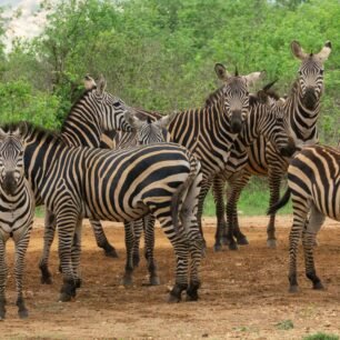 Tsavo West National Park
