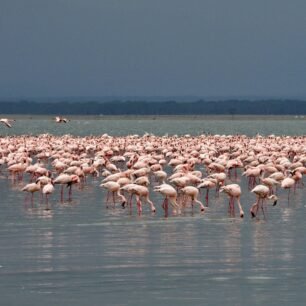 Lake Nakuru National Park