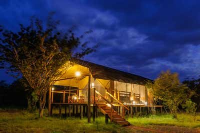 Aruba Mara Magic: Multi-Day Safari Adventure