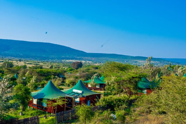 AA Lodge Maasai Mara Safari: 3–5 Days Adventure