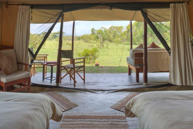 Where the Wild Roams Free: Encounter Mara Camp Adventure