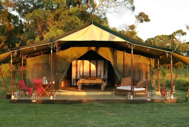 Wild Serenades: Fig Tree Camp Safari Escape in the Masai Mara