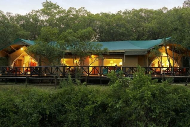 Whispers of the Wild: Fairmont Mara Safari Adventure