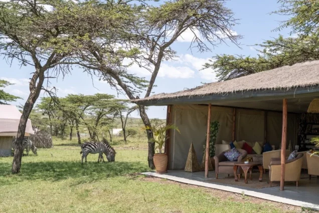 Wild Serenity: Kandili Camp Safari Escape