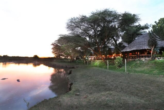 Wild at the Water’s Edge: Mara River Lodge Adventure