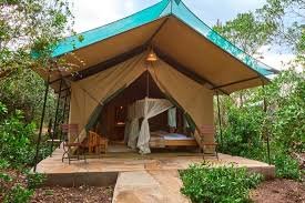 Uncover the Big Five at Mara Big Five Lodge