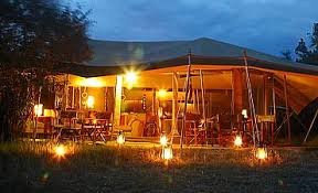 Riverside Luxury & Big Five Thrills at Mara Ngenche