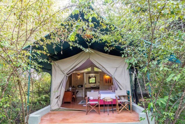 Discover the Wild at Kichakani Camp