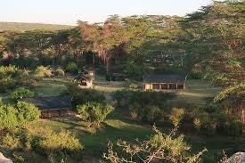 Wild at Heart: 3–5 Days Cheetah Safari Adventure in Kenya
