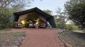 Porini Mara Safari Escape: 3–5 Days in the Heart of the Wild