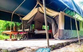 Siana Springs Safari Escape: 3–5 Days of Wildlife & Wilderness Luxury