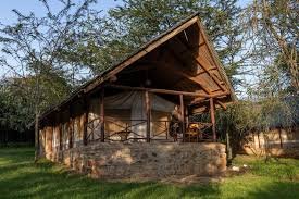 Wild Wonders of the Mara: 3–5 Day Sentrim Safari Escape
