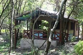 Oltome Mara Magic: 3–5 Days of Untamed Wonder in the Heart of Kenya