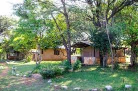 Semadep Mara Safari: 3–5 Days of Big Five Adventure & Maasai Magic