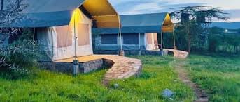 Destiny Eco Camp Masai Mara Safari