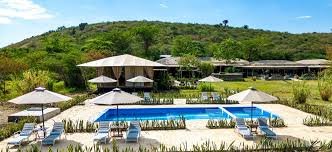 Zebra Plains Mara Safari: 3–5 Days of Big Five Adventure & African Wilderness