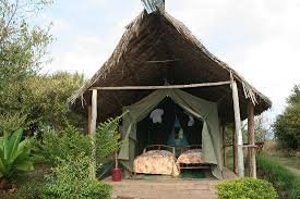 Wild Wonders of Masai Mara: Miti Mingi Eco Safari Adventure