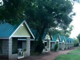 Rhino Safari Escape: 3–5 Days of Maasai Mara Wildlife Wonders