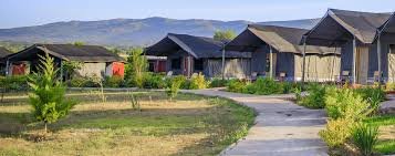 Wild Wonders of the Mara: 3–5 Day Endeem Safari Adventure