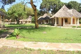 Wild Wonders of the Mara: 3–5 Day Nalepomara Safari Adventure