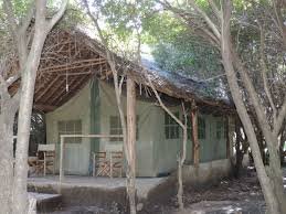 Roam the Savannah: 3–5 Day Enchoro Wildlife Camp Safari Adventure