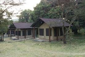 Wild Heart of the Mara: 3–5 Day Safari Adventure at Mara Springs