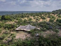 Wild Horizons: 3–5 Days Safari Escape at Kilima Camp
