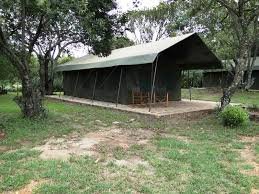 Wild Wonders of the Maasai Mara: Mara Sidai Camp Safari Adventure