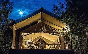 Entim Mara Safari: 3–5 Days of Wild Wonders & Luxury in the Heart of the Mara