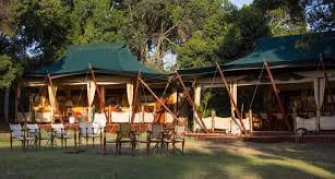 Elephant Pepper Camp: Ultimate 3–5 Day Masai Mara Safari Adventure