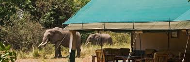 Exclusive Mara Magic: Governors’ Private Camp Safari